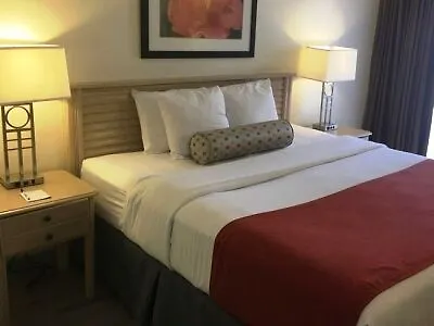Hotel Baymont By Wyndham Tampa Near Busch Gardens