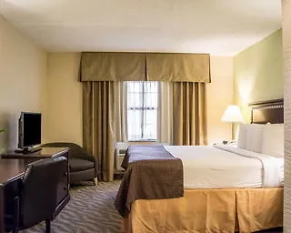Baymont By Wyndham Tampa Near Busch Gardens Hotel